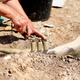 Illustration for article titled Archaeologists Unearth Ivory Trumpet Dating Back To Prehistoric Jazz Age
